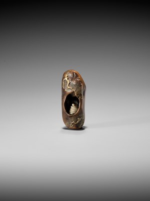 Lot 291 - TOYO: A RARE AND UNUSUAL LACQUERED ROOT WOOD NETSUKE OF A SNAKE INSIDE A PINE TREE
