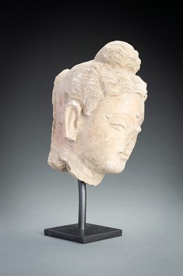 Lot 623 - A STUCCO HEAD OF BUDDHA, GHANDARA