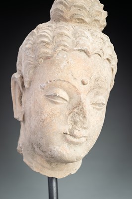 Lot 623 - A STUCCO HEAD OF BUDDHA, GHANDARA