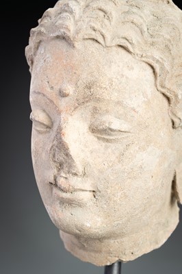 Lot 623 - A STUCCO HEAD OF BUDDHA, GHANDARA