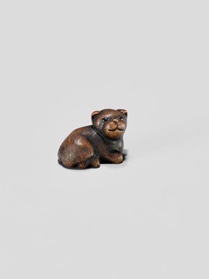 Lot 372 - A TANBA SCHOOL WOOD NETSUKE OF A RECLINING PUPPY