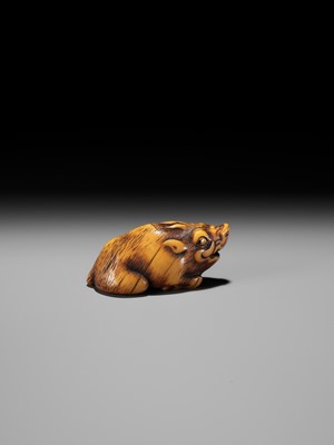 Lot 43 - A KYOTO SCHOOL IVORY NETSUKE OF A FRIGHTENED RECLINING BOAR, SIGNED TOMOTADA