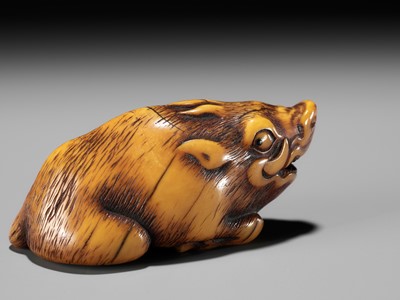 Lot 43 - A KYOTO SCHOOL IVORY NETSUKE OF A FRIGHTENED RECLINING BOAR, SIGNED TOMOTADA