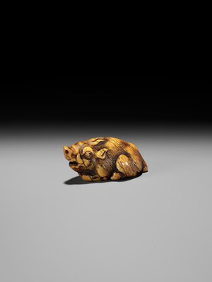 Lot 43 - A KYOTO SCHOOL IVORY NETSUKE OF A FRIGHTENED RECLINING BOAR, SIGNED TOMOTADA