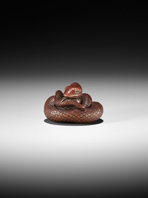 Lot 36 - AN EXCEPTIONAL AND LARGE WOOD NETSUKE OF A SNAKE, ATTRIBUTED TO OKATOMO