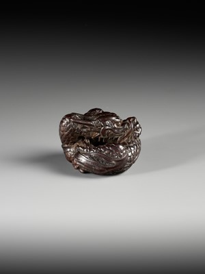 Lot 367 - A SUPERB WOOD NETSUKE OF A COILED DRAGON, ATTRIBUTED TO TAMETAKA
