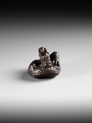 Lot 367 - A SUPERB WOOD NETSUKE OF A COILED DRAGON, ATTRIBUTED TO TAMETAKA
