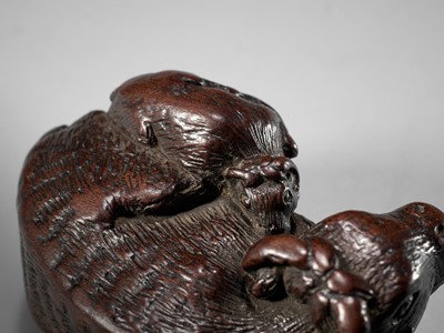 Lot 69 - A SUPERB AND VERY RARE WOOD NETSUKE OF AN OX AND CALF, ATTRIBUTED TO TAMETAKA