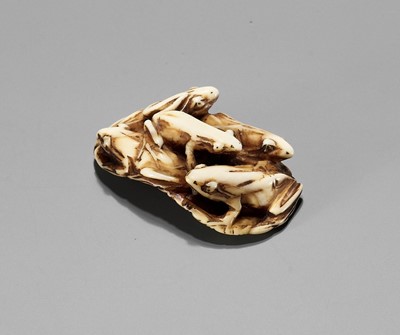 Lot 882 - HARUUJI: A MARINE IVORY NETSUKE OF FROGS ON LOTUS LEAF, MEIJI