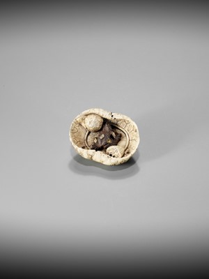 A RARE STAG ANTLER AND IRON NETSUKE DEPICTING A FROG ON A LOTUS LEAF