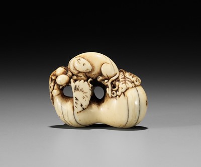 Lot 624 - A RARE IVORY NETSUKE OF A DORMOUSE ON LEAFY GOURD