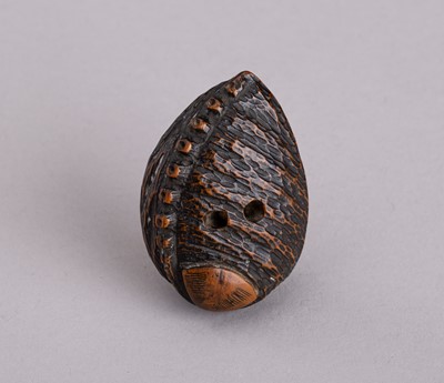 Lot 704 - A WOOD NETSUKE OF AN AWABI WITH CLAM, 19th CENTURY