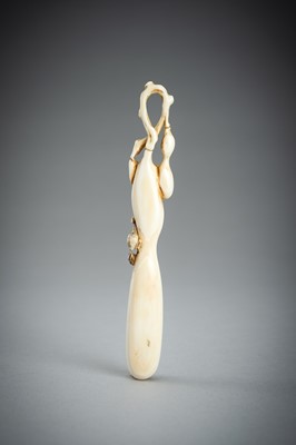 Lot 731 - A LARGE IVORY SASHI NETSUKE OF A DORMOUSE ON A GOURD, MEIJI