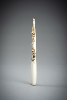 Lot 731 - A LARGE IVORY SASHI NETSUKE OF A DORMOUSE ON A GOURD, MEIJI