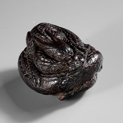 Lot 673 - A SUPERB DARK WOOD NETSUKE OF A COILED DRAGON, ATTRIBUTED TO TAMETAKA