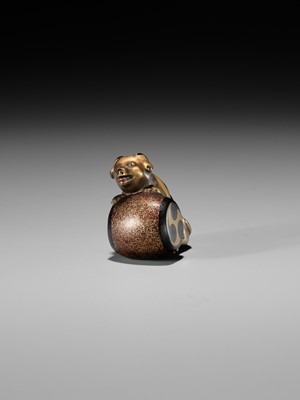 Lot 405 - A CHARMING GOLD LACQUER NETSUKE OF A DOG WITH DRUM