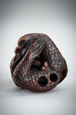 Lot 418 - MASAAKI: AN AMUSING BOXWOOD SHUNGA NETSUKE OF A KAPPA, MEIJI