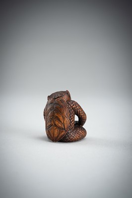 Lot 418 - MASAAKI: AN AMUSING BOXWOOD SHUNGA NETSUKE OF A KAPPA, MEIJI