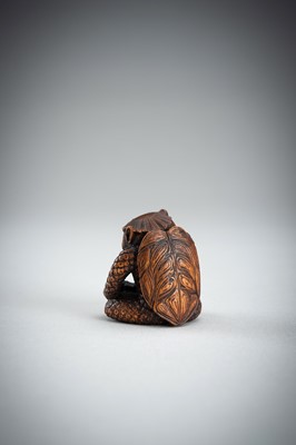 Lot 418 - MASAAKI: AN AMUSING BOXWOOD SHUNGA NETSUKE OF A KAPPA, MEIJI