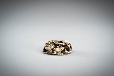 Lot 736 - AN IVORY MANJU NETSUKE WITH FROG ON LOTUS AND PERSIMMONS, 19th CENTURY