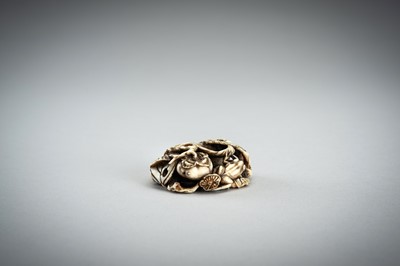 Lot 736 - AN IVORY MANJU NETSUKE WITH FROG ON LOTUS AND PERSIMMONS, 19th CENTURY
