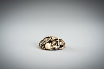 Lot 736 - AN IVORY MANJU NETSUKE WITH FROG ON LOTUS AND PERSIMMONS, 19th CENTURY