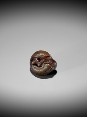 Lot 107 - SARI: A FINE WOOD NETSUKE OF A SNAIL EMERGING FROM ITS SHELL