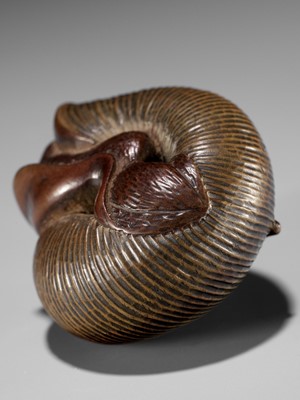 Lot 107 - SARI: A FINE WOOD NETSUKE OF A SNAIL EMERGING FROM ITS SHELL