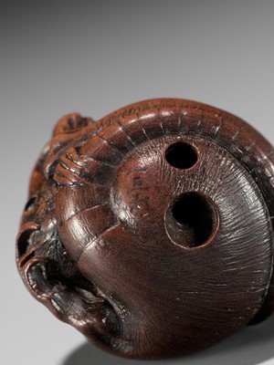 Lot 77 - ITTAN: A FINE WOOD NETSUKE OF A COILED RAT