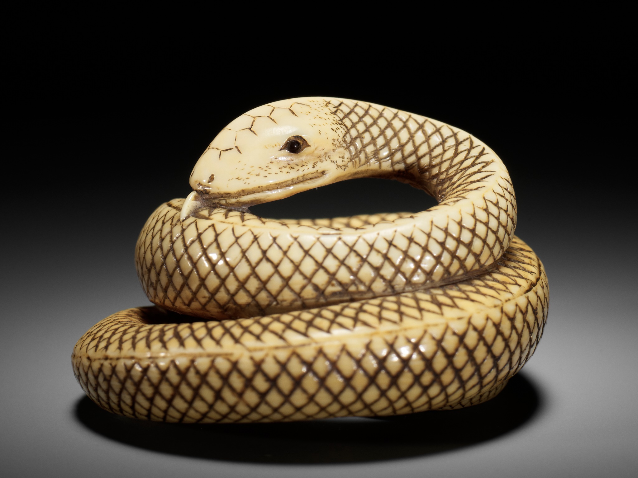 Lot 682 - AN IVORY NETSUKE OF A COILED SNAKE,