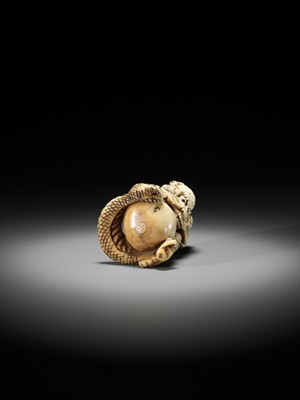 Lot 221 - A POWERFUL STAG ANTLER NETSUKE OF A DRAGON WITH TAMA, ATTRIBUTED TO MOTOTADA