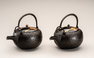 Lot 53 - A PAIR OF CAST IRON SAKE EWERS CHOSHI WITH LACQUERED COVERS, 19th CENTURY
