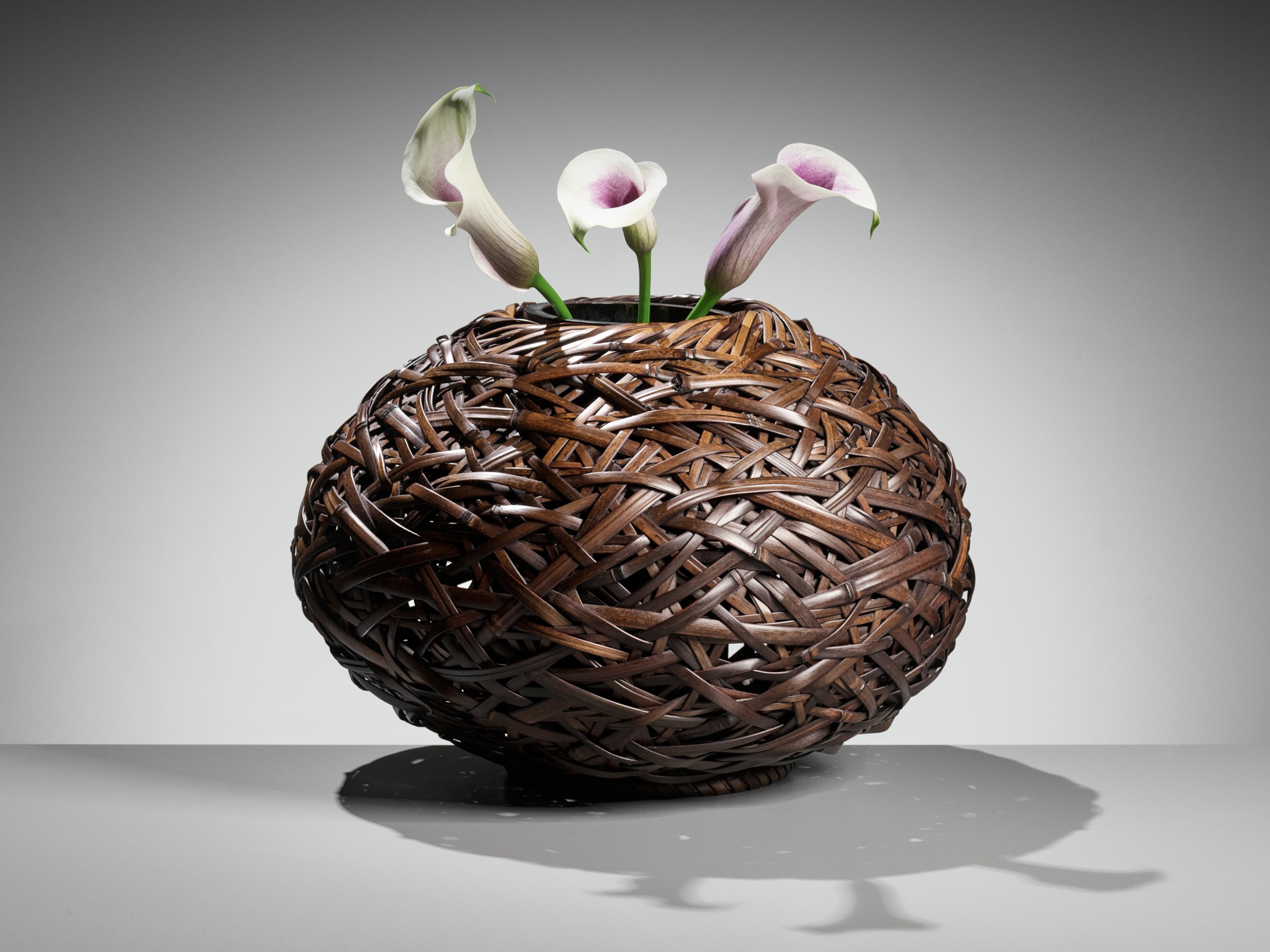 花柴 17764-19.jpg?v=63819488568613