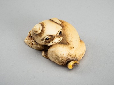 Lot 712 - AN IVORY NETSUKE OF A RECLINING PUPPY WITH AWABI, 19th CENTURY