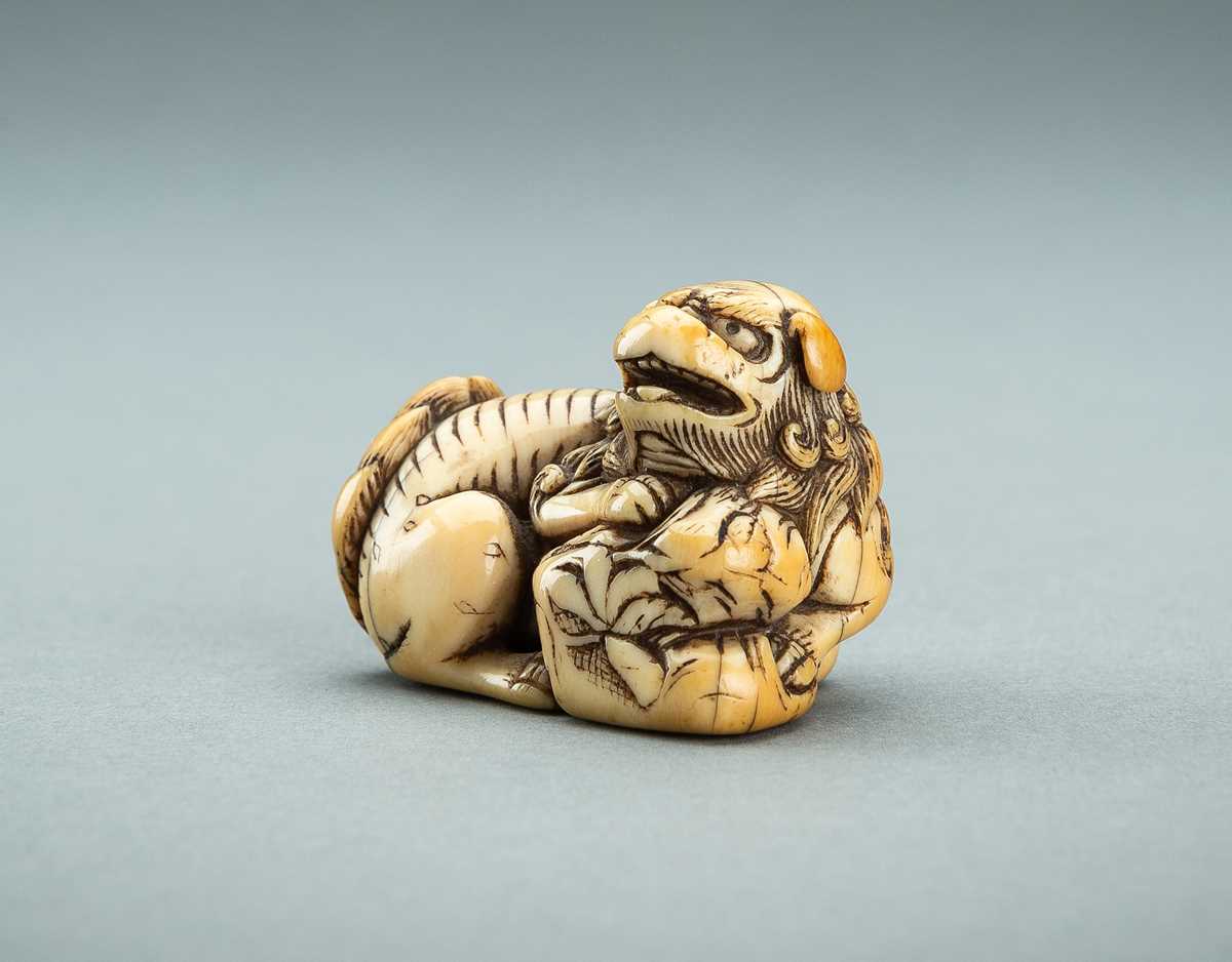 Lot 612 - AN IVORY NETSUKE OF A SHISHI WITH BAG, 18th