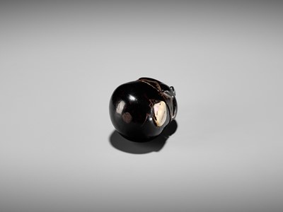 Lot 379 - A RARE LACQUER HAKO NETSUKE OF AN EGGPLANT (NASUBI)