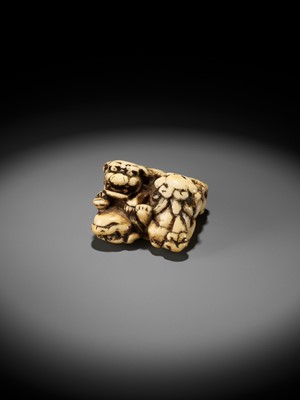 Lot 372 - A FINE IVORY NETSUKE DEPICTING THREE FIGHTING SHISHI