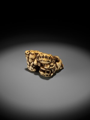 Lot 372 - A FINE IVORY NETSUKE DEPICTING THREE FIGHTING SHISHI