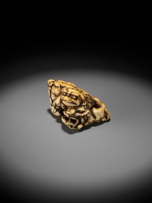Lot 372 - A FINE IVORY NETSUKE DEPICTING THREE FIGHTING SHISHI