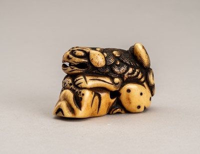 Lot 484 - AN EARLY ANTLER NETSUKE OF A SHISHI ON A ROCK, 18th CENTURY