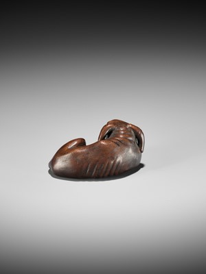 A LARGE AND UNUSUAL WOOD NETSUKE OF A RECUMBENT OX