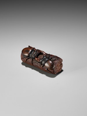Lot 261 - MICHAEL WEBB: A WOOD NETSUKE WITH TWO FIGHTING STAG BEETLES, DATED 1987