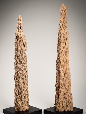 Lot 1331 - A PAIR OF THAI TREE ELEMENTS, 20TH CENTURY