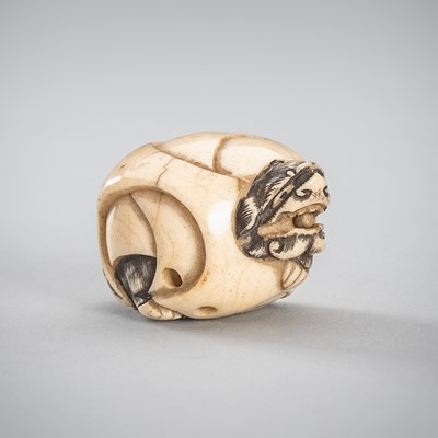 Lot 1705 - IKKO: A SMALL ANTLER NETSUKE OF A SHISHI INSIDE A BALL
