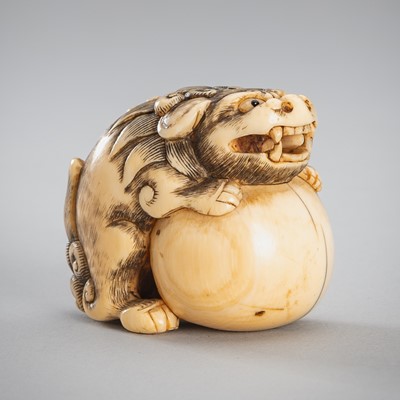 Lot 1509 - A FINE IVORY NETSUKE OF A SHISHI WITH A BALL