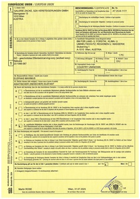 Lot 313 - A FINE IVORY OKIMONO OF A MAN FIGHTING AN OCTOPUS