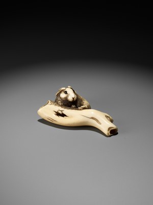 Lot 145 - A SUPERB OSAKA SCHOOL IVORY NETSUKE OF A RABBIT WITH TREE BRANCH