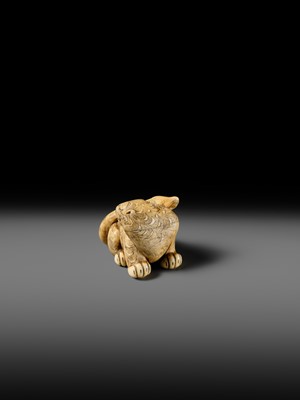 Lot 151 - A POWERFUL OSAKA SCHOOL IVORY NETSUKE OF A CROUCHING TIGER