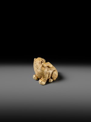 Lot 151 - A POWERFUL OSAKA SCHOOL IVORY NETSUKE OF A CROUCHING TIGER