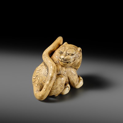 Lot 151 - A POWERFUL OSAKA SCHOOL IVORY NETSUKE OF A CROUCHING TIGER
